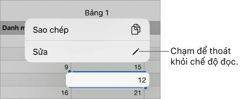 Một ô bảng được chọn và phía trên ô bảng đó là menu với các nút Sao chép và Sửa.