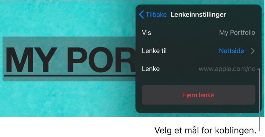 Lenkeinnstillinger-kontrollene med felter for Visning, Lenke til (stilt til Nettside) og Lenke. Fjern Lenke-knappen er nederst.