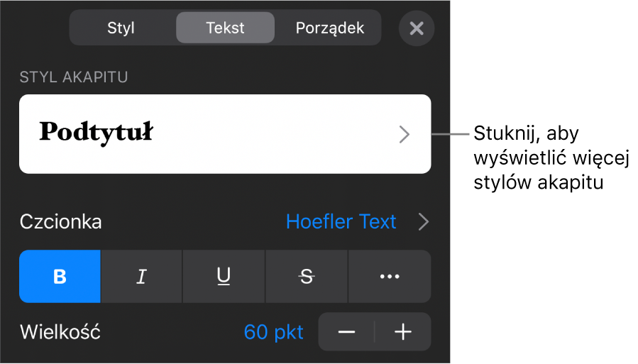 Menu Format z narzędziami tekstu pozwalającymi na ustawianie stylów akapitu, stylów znaków, czcionki, wielkości oraz koloru.