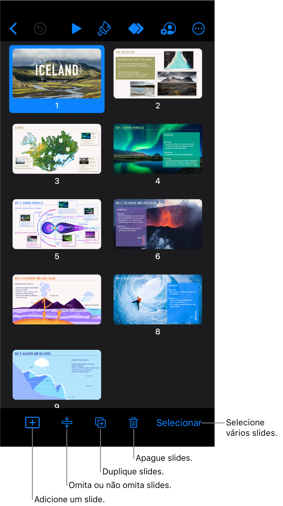 Visualização de mesa de luz com botões na parte inferior da tela para adicionar, omitir, duplicar e apagar slides, e para selecionar vários slides.