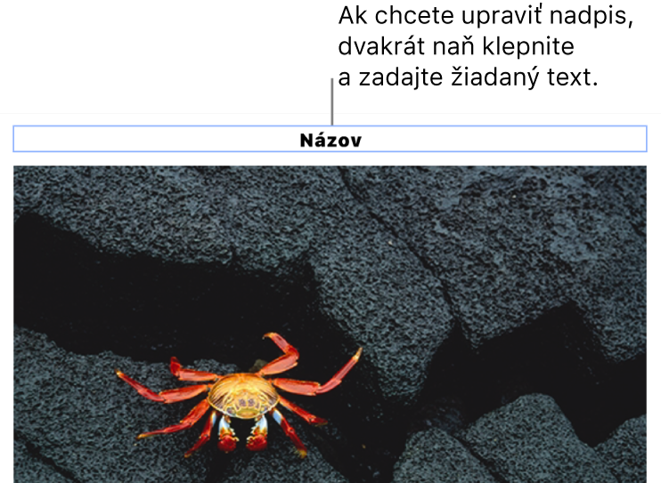 Pod fotkou sa zobrazí vzorový názov „Názov“. Okolo poľa názvu sa zobrazí modrý obrys, čo znamená, že je označený.