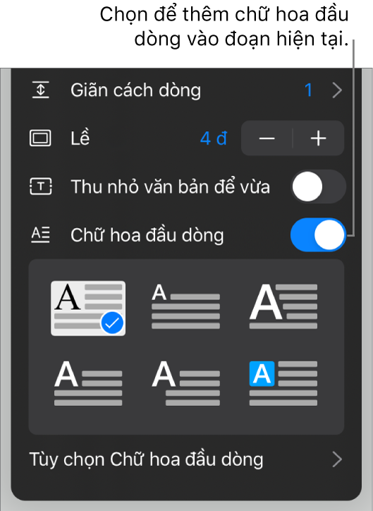 Các điều khiển Chữ hoa đầu dòng nằm ở cuối menu Văn bản.