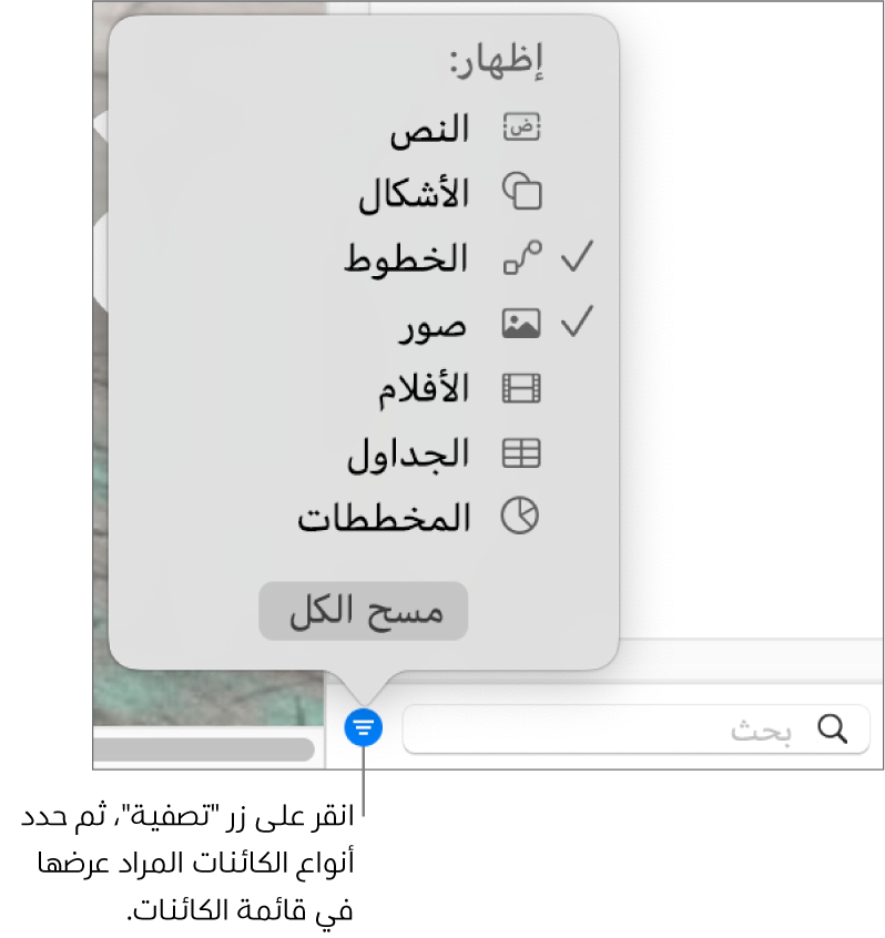 تفتح القائمة المنبثقة "التصفية" وتظهر بها قائمة بأنواع الكائنات التي يمكن أن تحتوي عليها القائمة (نص، وأشكال، وخطوط، وصور، وأفلام، وجداول، ومخططات).