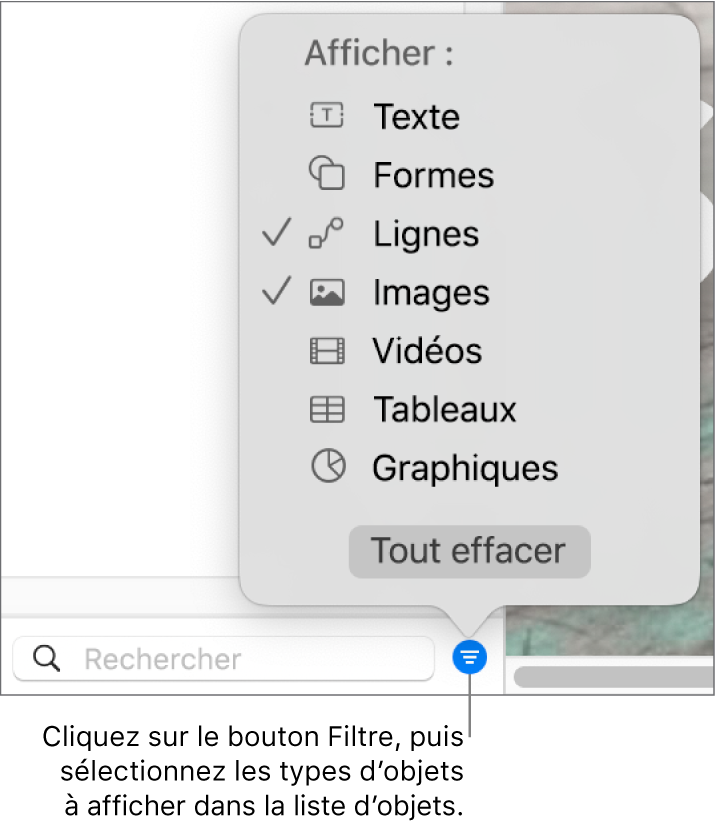 Le menu contextuel Filtrer ouvert, avec les types d’objets qui peuvent être compris dans la liste (texte, formes, lignes, images, vidéos, tableaux et graphiques).