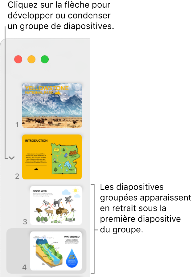 Navigateur de diapositives affichant des diapositives en retrait.