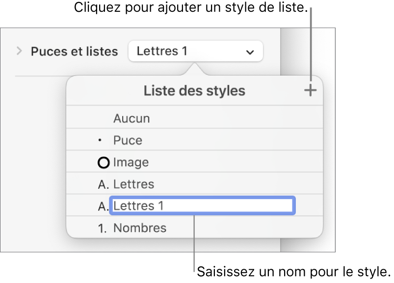 Le menu local « Styles de liste » avec un bouton Ajouter en haut à droite et un nom de style de paramètre fictif avec son texte sélectionné.