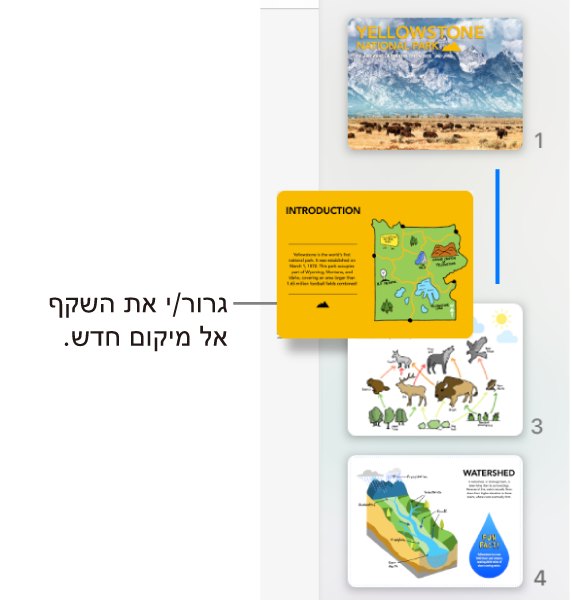 נווט השקפים מציג תמונה ממוזערת של שקפים שאורגנו מחדש עם קו משמאל.