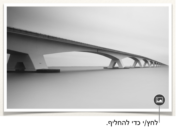 תמונה עם הכפתור ״החלף תמונה״.