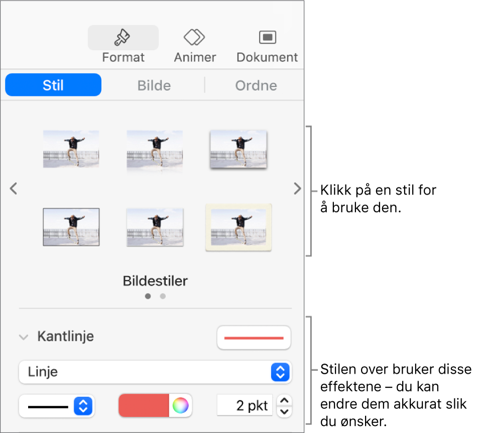 Stil-fanen i Format-sidepanelet som viser valg for objektstiler.