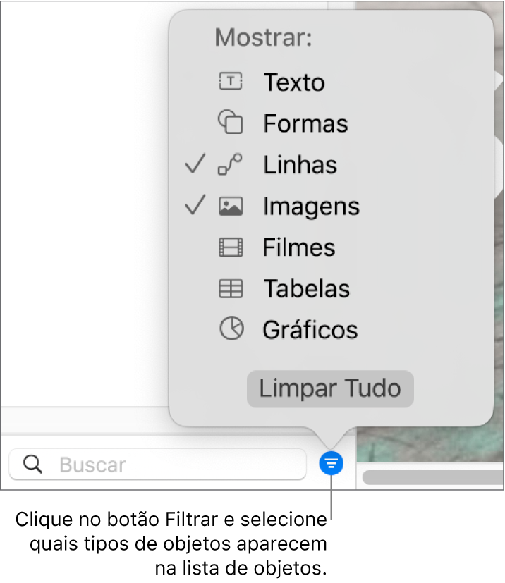 O menu local Filtrar aberto, com uma lista dos tipos de objetos que a lista pode incluir (texto, formas, linhas, imagens, filmes, tabelas e gráficos).