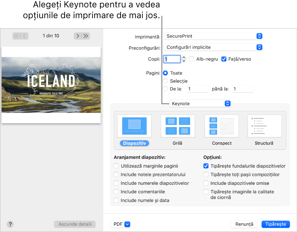 Dialogul Tipărește cu Keynote selectat în meniul pop-up sub Pagini. Sub acesta se află aranjamentele de tipărire pentru Diapozitiv, Grilă, Conspect și Structură cu Diapozitiv selectat. Sub aranjamente se află casete de selectare pentru afișarea marginilor, includerea notelor prezentatorului, tipărirea imaginilor la calitate de ciornă și alte opțiuni.