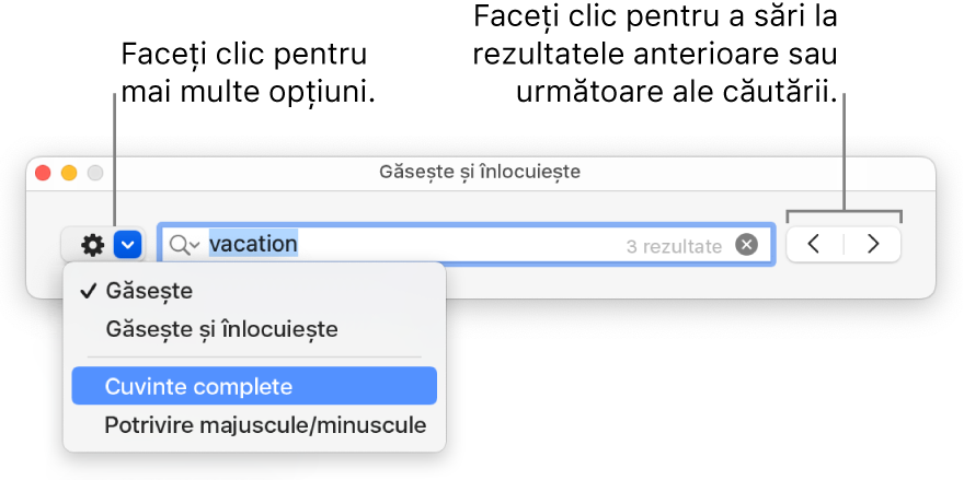 Fereastra Găsește și înlocuiește cu explicații la buton pentru a afișa opțiunile Găsește, Găsește și înlocuiește, Cuvinte complete și Majuscule/minuscule. Săgețile de la dreapta vă permit să treceți la rezultatele de căutare anterioare sau următoare.