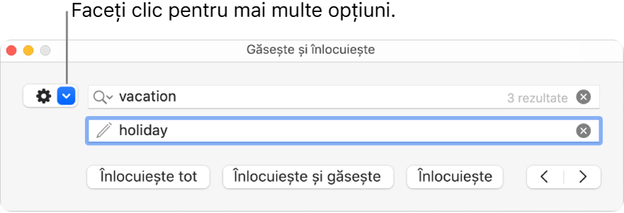 Fereastra Găsește și înlocuiește, cu explicație pentru butonul de afișare a mai multor opțiuni.