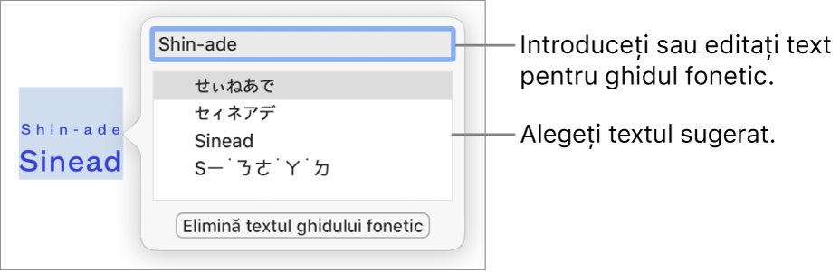 Se va deschide ghidul fonetic pentru un cuvânt, cu explicații pentru câmpul text și textul sugerat.