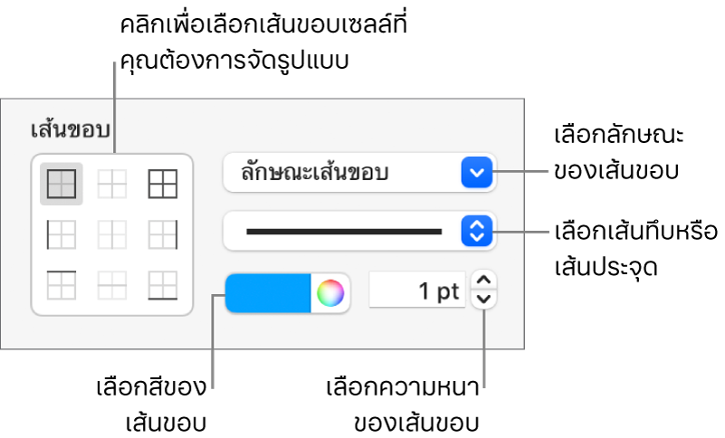 ตัวควบคุมในแถบด้านข้างสำหรับเปลี่ยนรูปลักษณ์ของเส้นขอบของเซลล์