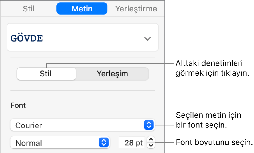 Fontu ve font büyüklüğünü ayarlamak için kenar çubuğunun Stil bölümündeki metin denetimleri.