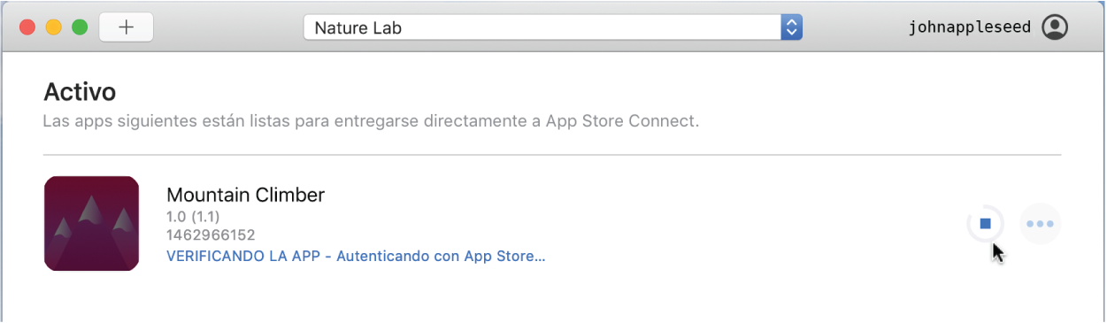 Un ejemplo de la ventana de la app Transporter donde se muestra un archivo de paquete Activo. Transporter está verificando y autenticando el archivo de paquete con Apple.