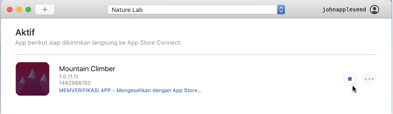 Contoh jendela app Transporter yang menampilkan satu file paket Aktif. Transporter sedang memverifikasi dan mengesahkan file paket dengan Apple.