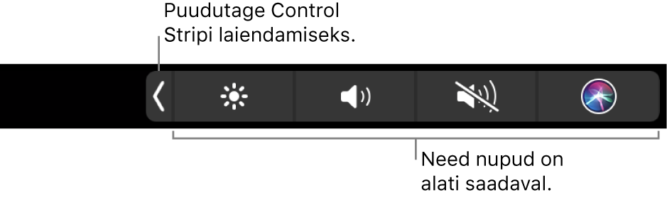 Vaikimisi kasutatava Touch Bari osaline pilt, millel kuvatakse ahendatud Control Stripi. Täieliku Control Stripi kuvamiseks puudutage laiendamise nuppu.