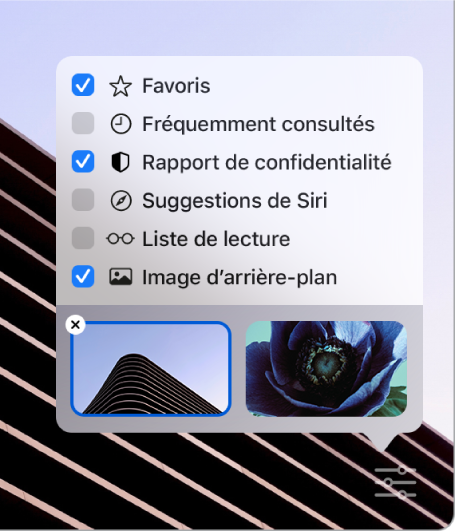  Le menu local « Personnaliser Safari » avec des cases à cocher pour les options « Favoris », « Fréquemment consultées », « Rapport de confidentialité », « Suggestions de Siri », « Liste de lecture » et « Image d’arrière-plan ».