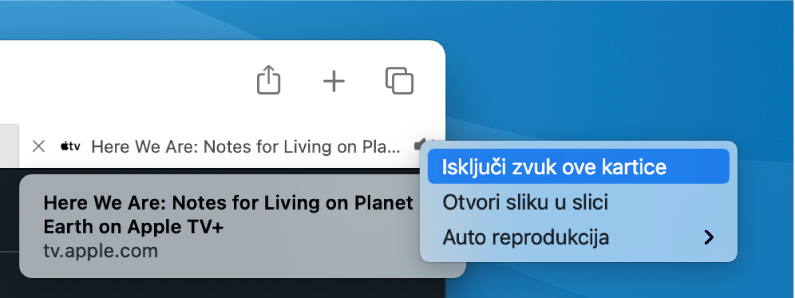 Podizbornik za ikonu Audio, sa stavkama Isključi zvuk ove kartice, Otvori sliku u slici i Auto reprodukcija.