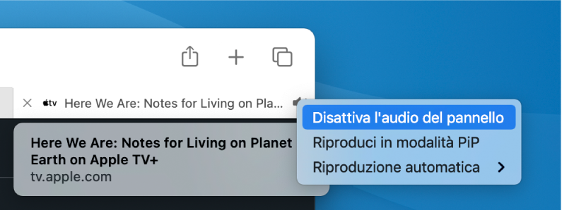 Il sottomenu dell'icona Audio, con gli elementi “Disattiva l'audio del pannello”, “Riproduci in modalità PiP” e “Riproduzione automatica”.