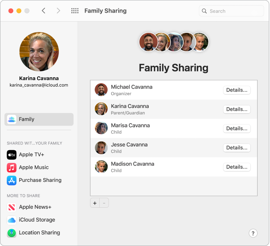 iCloud.com торабында Family Sharing параметрлерін көрсетіп тұрған Safari терезесі.