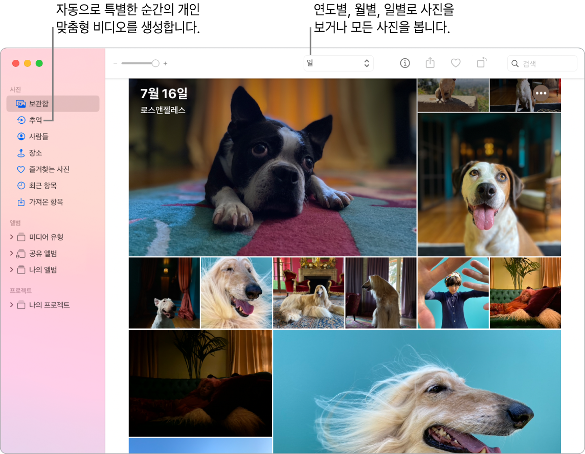 왼쪽 사이드바에 추억 기능이 표시된 사진 앱 윈도우. 앨범의 사진을 일, 주, 월, 연도별로 볼 수 있는 사진 앱 윈도우 상단의 팝업 메뉴.