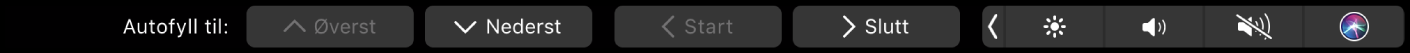 Touch Bar for Numbers med autofyllknapper. Noen av knappene som vises, er øverst, nederst, start og slutt.