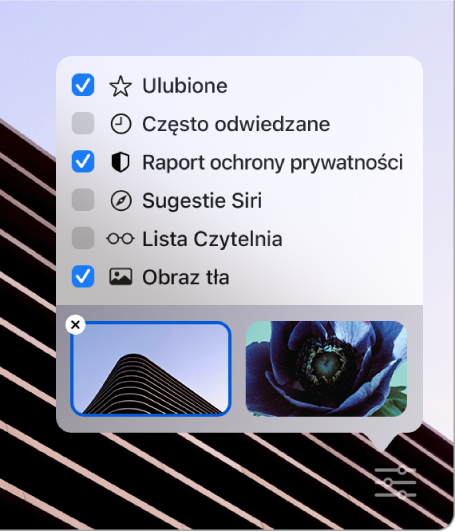  Menu podręczne dostosowywania Safari, zawierające pola wyboru Ulubione, Często odwiedzane, Raport ochrony prywatności, Sugestie Siri, Lista czytelnia oraz Obraz tła.