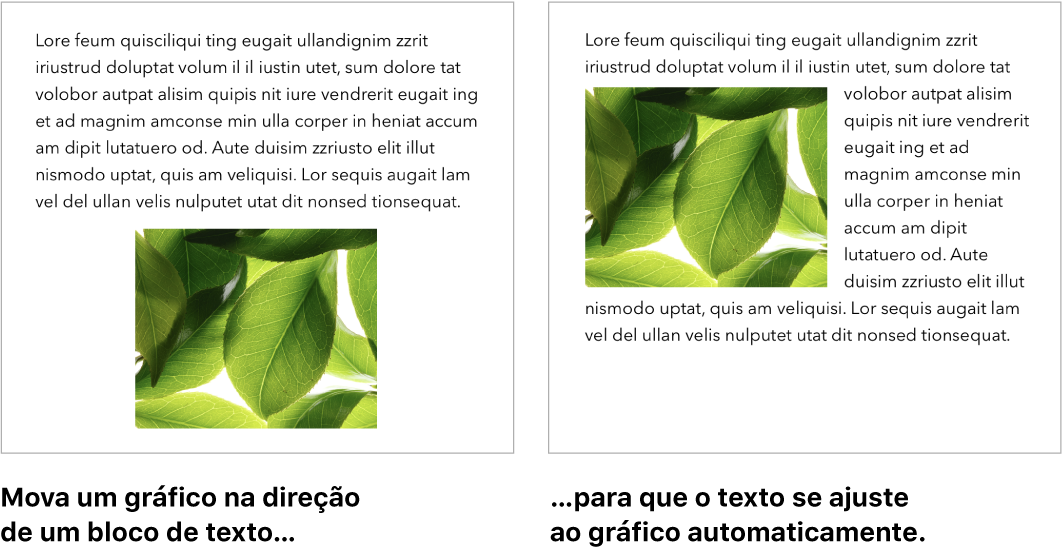 Janela do Pages mostrando como o texto se ajusta ao redor de gráficos.