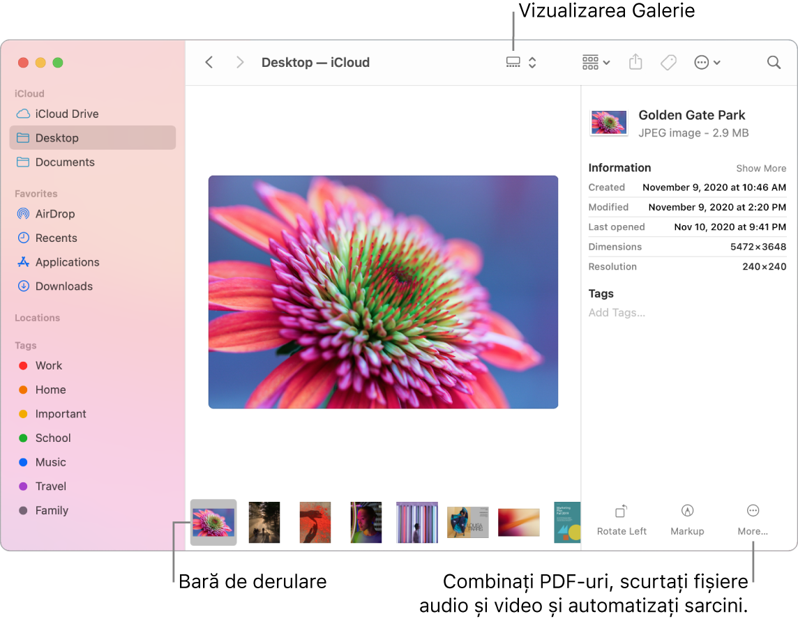 O fereastră Finder deschisă în vizualizarea galerie, afișând o poză mare și, dedesubt, un rând de poze mai mici (banda de derulare). Comenzile pentru rotire, marcare și altele se află la dreapta barei de derulare.