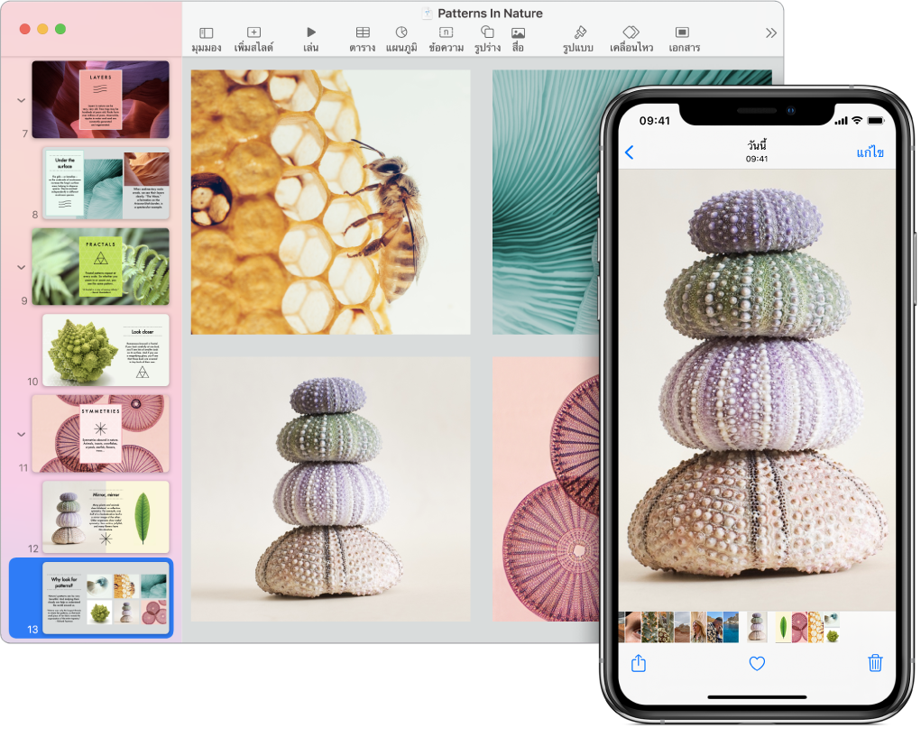 iPhone ที่แสดงรูปภาพ ถัดไปมี Mac ที่แสดงรูปภาพเดียวกันหลังจากถูกวางลงในเอกสาร Pages