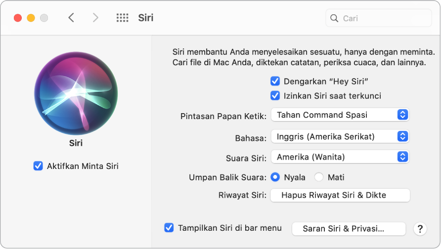 Jendela preferensi Siri dengan Aktifkan Minta Siri dipilih di sebelah kiri dan beberapa pilihan untuk menyesuaikan Siri di sebelah kanan, termasuk “Dengarkan ‘Hey Siri’.”