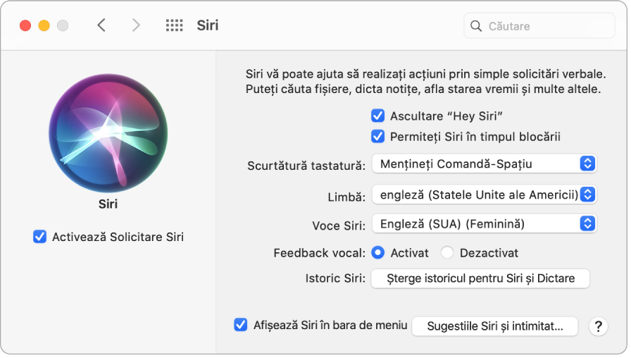 Fereastra de preferințe pentru Siri, având selectată opțiunea Activează Solicitare Siri în stânga și câteva opțiuni pentru personalizarea Siri în dreapta, inclusiv “Ascultare Hey Siri”.