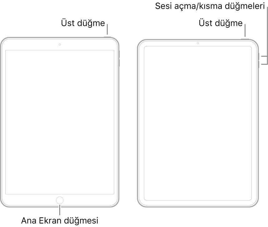 Ekranları yukarı bakan iki farklı iPad modelinin resmi. En soldaki resimde, aygıtın alt tarafında Ana Ekran düğmesinin ve aygıtın sağ üst köşesinde bir üst düğmenin olduğu bir model gösteriliyor. En sağdaki resimde Ana Ekran düğmesinin olmadığı bir model gösteriliyor. Bu aygıtta ses yüksekliğini açma ve kapatma düğmeleri aygıtın sağ kenarında üste yakın bir yerde ve üst düğme aygıtın sağ üst kenarında gösteriliyor.
