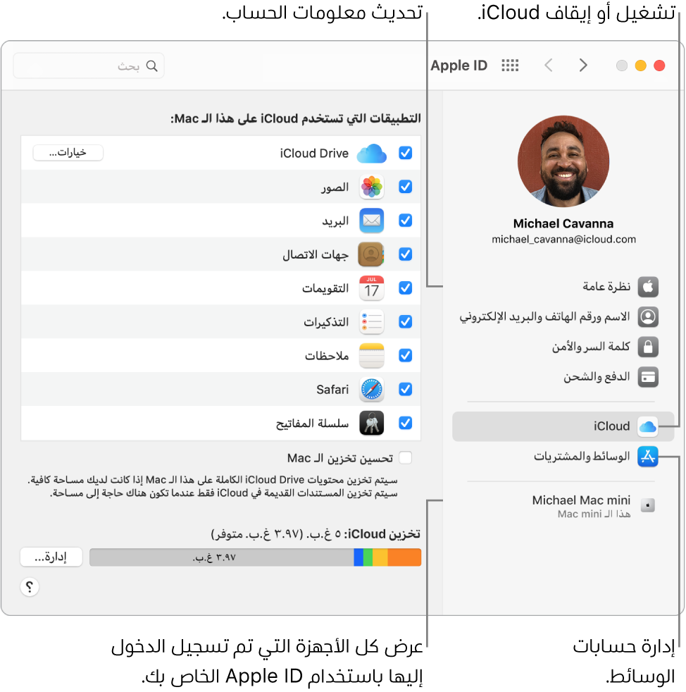 جزء Apple ID في تفضيلات النظام. انقر على عنصر في الشريط الجانبي لتحديث معلومات حسابك وتشغيل iCloud أو إيقافه وإدارة حسابات الوسائط وعرض جميع الأجهزة التي سجلت الدخول عليها باستخدام Apple ID.