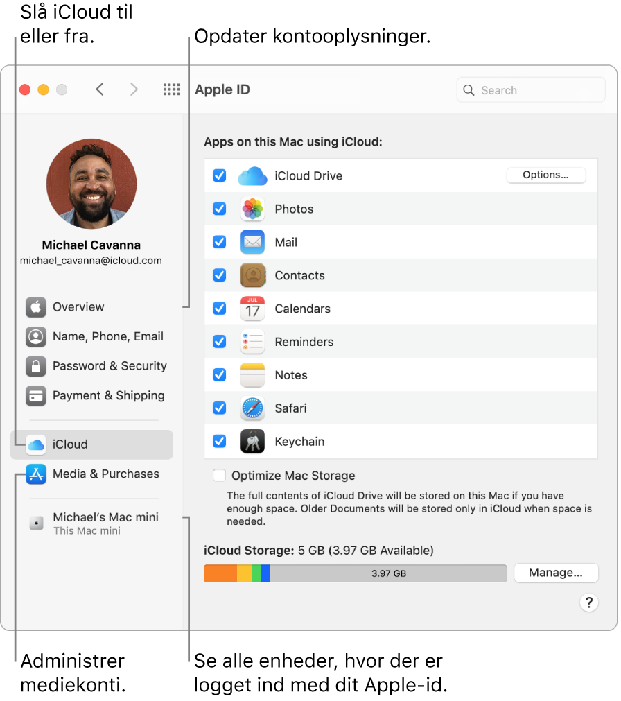 Vinduet Apple-id i Systemindstillinger. Klik på et emne i indholdsoversigten for at opdatere dine kontooplysninger, slå iCloud til eller fra, administrere mediekonti og se alle enheder, der er logget ind med dit Apple-id.
