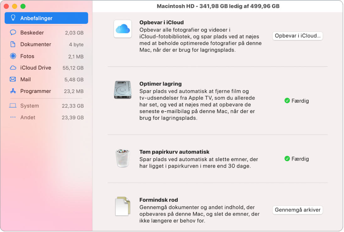Vinduet med anbefalinger til lagringsplads, der viser mulighederne Opbevar i iCloud, Optimer lagring, Tøm papirkurv automatisk og Formindsk rod.