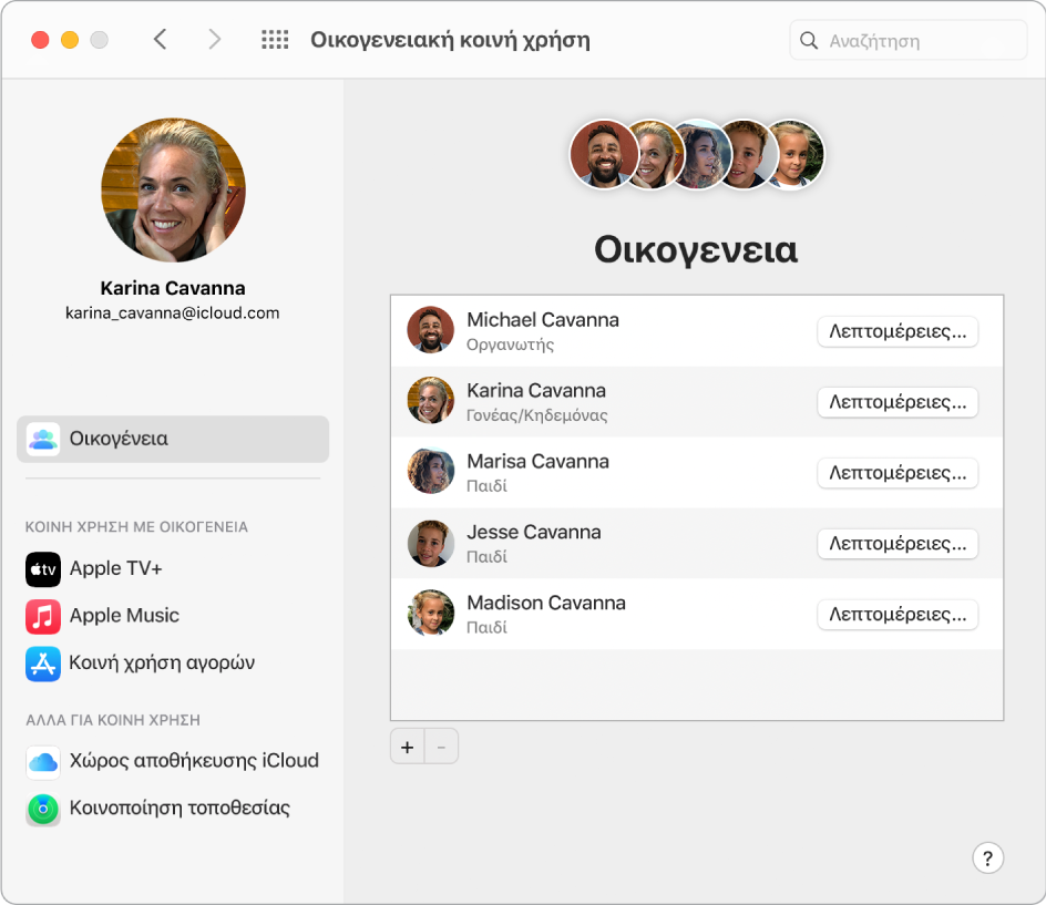 Παράθυρο προτιμήσεων όπου φαίνονται ρυθμίσεις Οικογενειακής κοινής χρήσης.