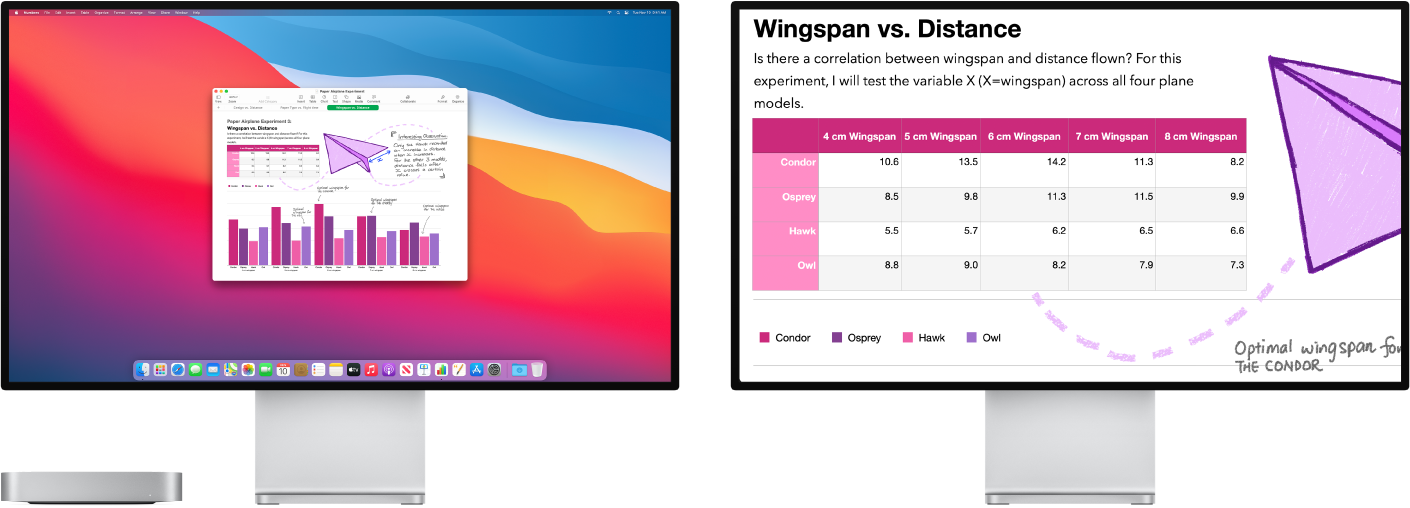 Zoom Display is active on the secondary display, while the screen size stays fixed on the left display.