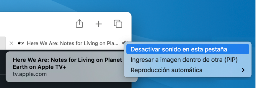 El menú secundario del ícono Audio, con las opciones “Desactivar sonido en esta pestaña”, “Ingresar a imagen dentro de otra (PIP)” y “Reproducción automática”.