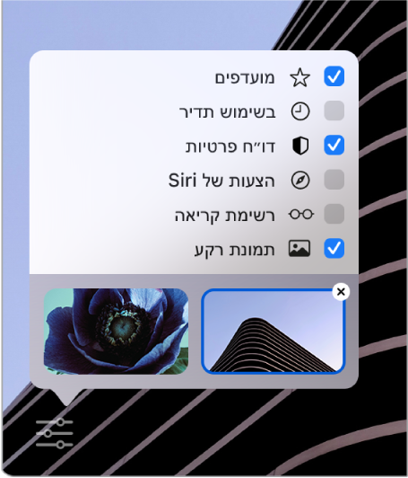 התפריט הקופצני “התאמה אישית של Safari” עם תיבות הסימון: ”מועדפים״, “בשימוש תדיר”, “דוח פרטיות”, “הצעות של Siri”, “רשימת קריאה” ו”תמונת רקע”.