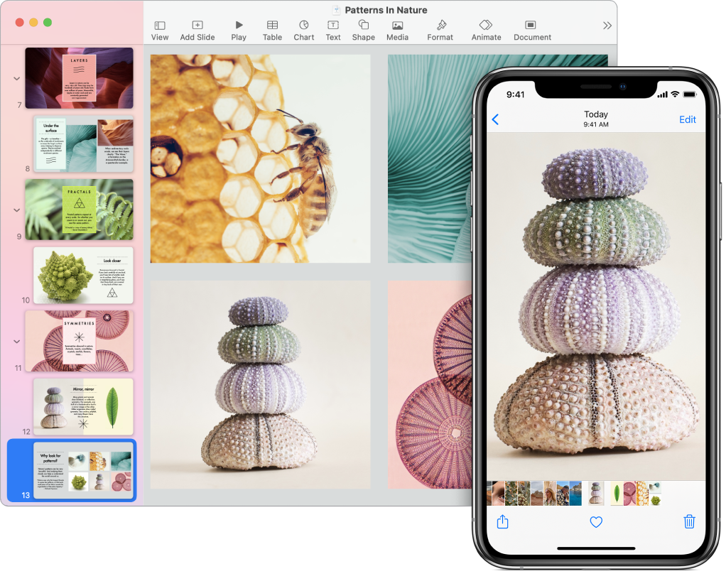 „iPhone“ rodoma nuotrauka, šalia „Mac“ rodoma į „Pages“ dokumentą įklijuota nuotrauka.