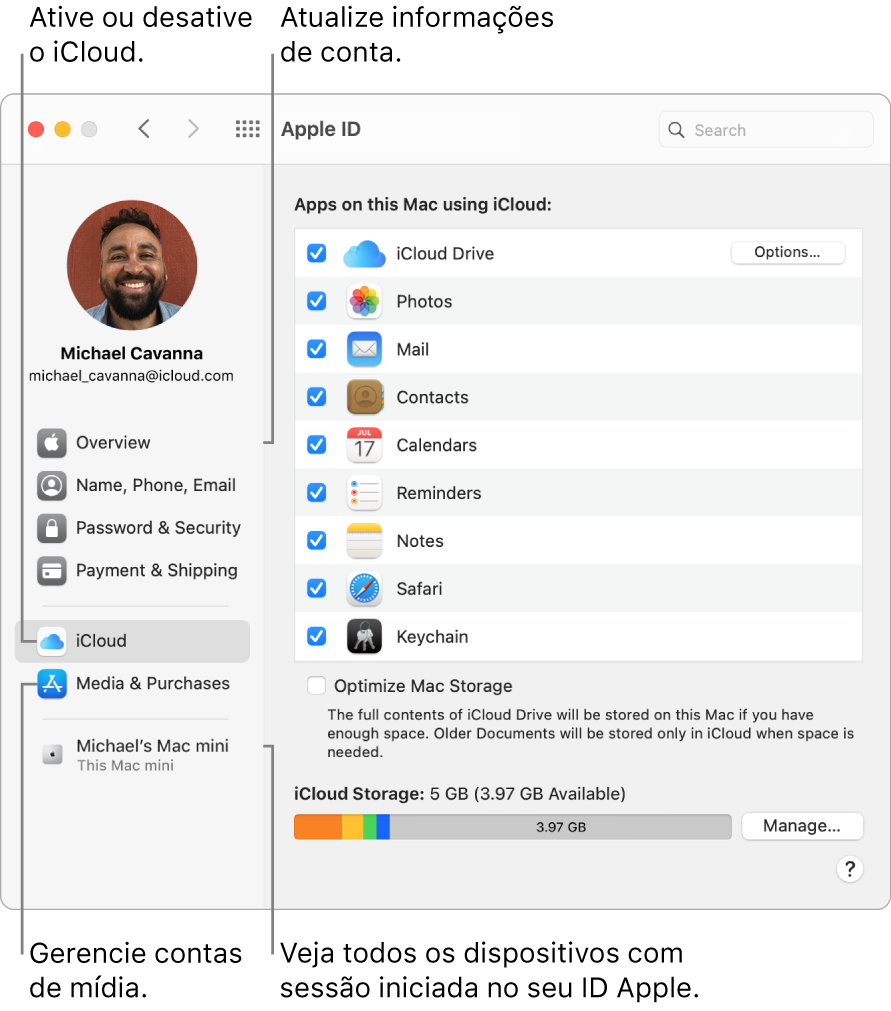 O painel ID Apple nas Preferências do Sistema. Clique em um item na barra lateral para atualizar suas informações de conta, ativar ou desativar o iCloud, gerenciar contas de mídia e ver todos os dispositivos com uma sessão iniciada com o seu ID Apple.