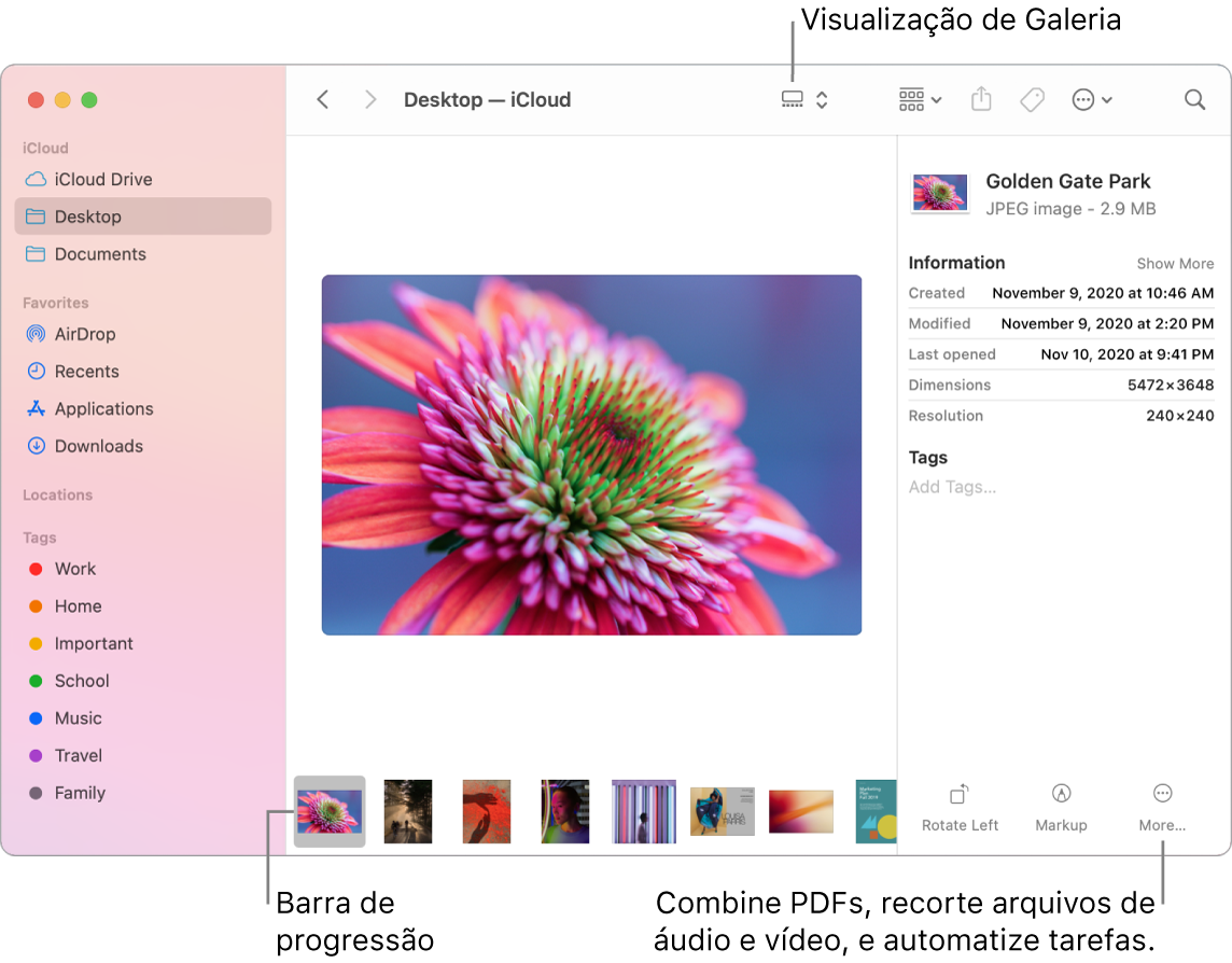 Uma janela do Finder aberta na “Visualização de Galeria” mostrando uma foto grande com uma linha de fotos menores — a barra de exploração — abaixo dela. Controles para rotação, marcação e outras funções estão à direita da barra de exploração.