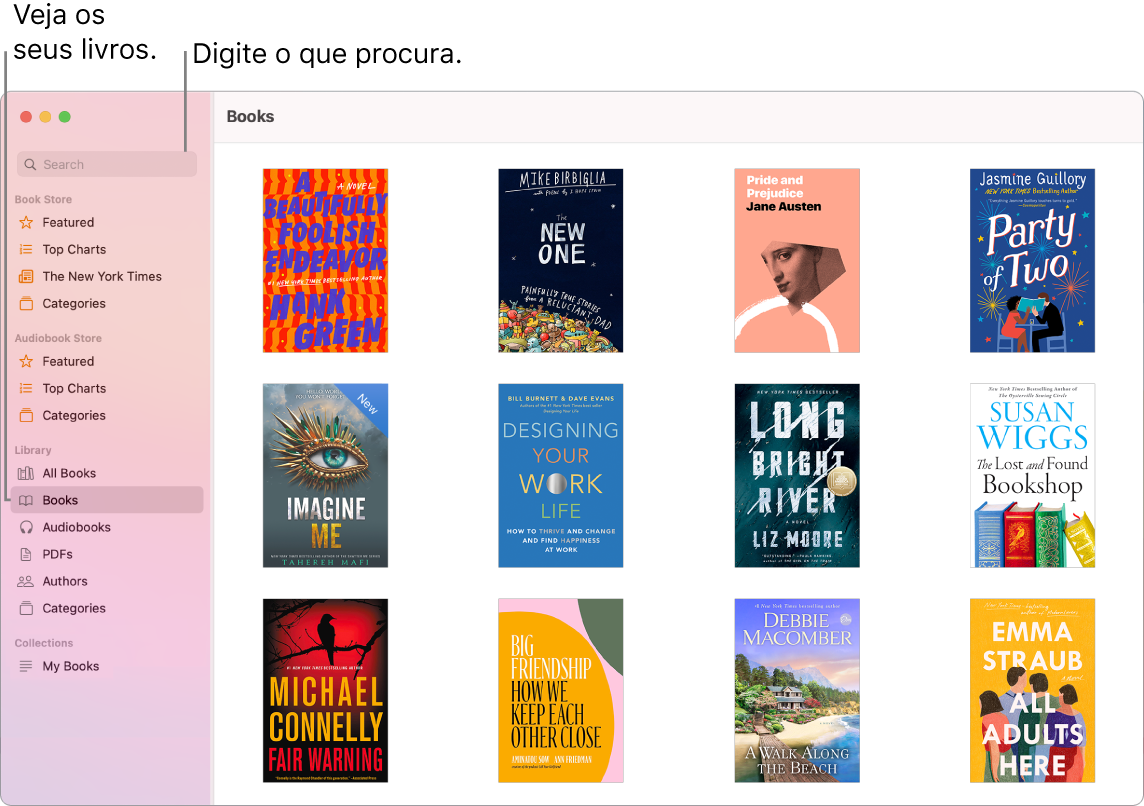 Janela da aplicação Livros a mostrar como visualizar livros, explorar conteúdo selecionado e pesquisar.