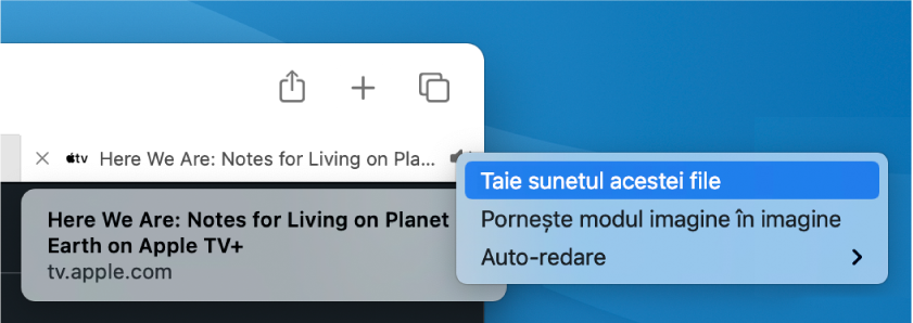 Submeniul pentru pictograma Audio, cu articolele Taie sunetul acestei file, Pornește modul imagine în imagine și Auto-redare.