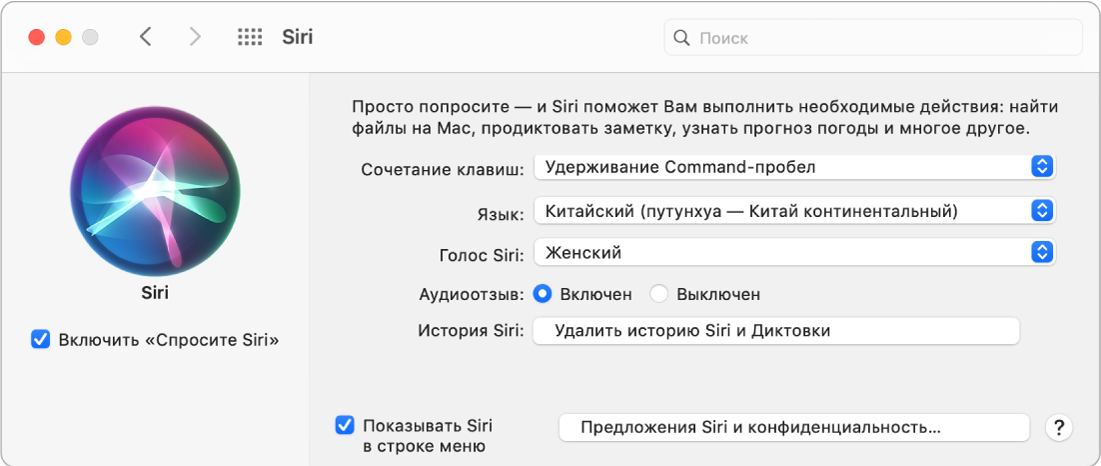 Окно настроек Siri, в котором слева отмечена галочка включения «Спросите Siri», а справа содержатся параметры настройки Siri.