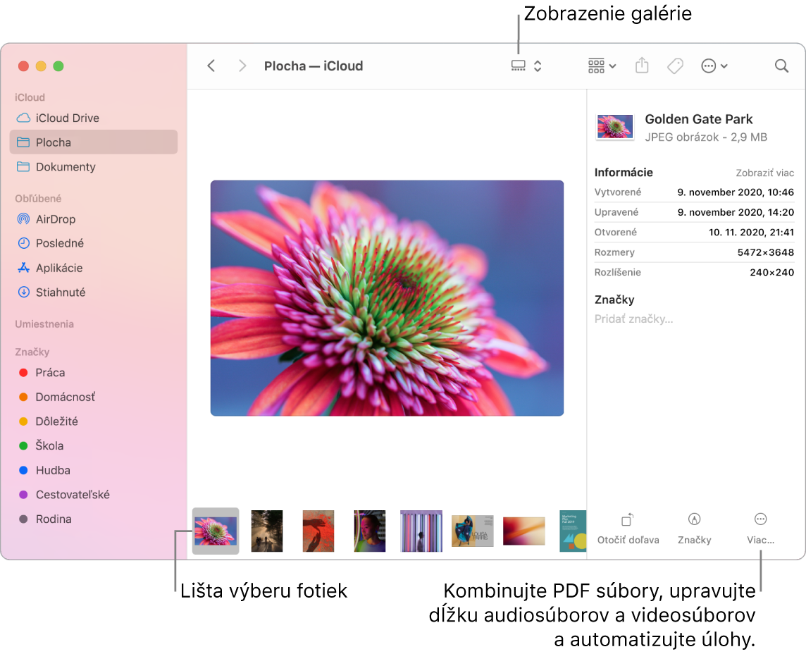 Zobrazenie galérie v otvorenom okno Findera zobrazujúce veľkú fotku spolu s riadkom menších fotiek (posuvnou lištou) pod ňou. Ovládacie prvky na otáčanie, označovanie a ďalšie akcie sú vpravo od posuvnej lišty.